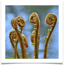 8 - Great Unfurling - Chris Beesley